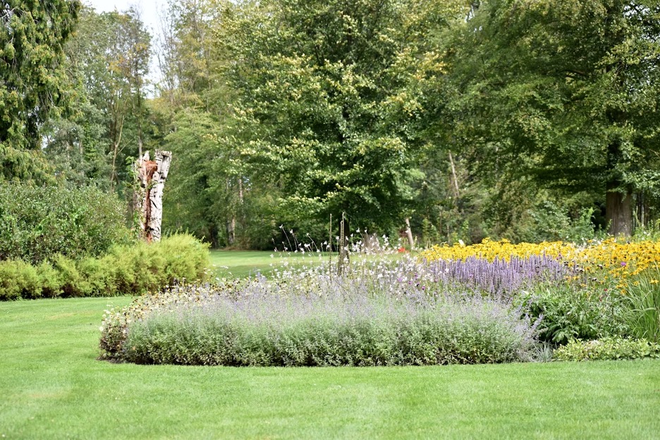 Common Mistakes to Avoid in Garden Maintenance