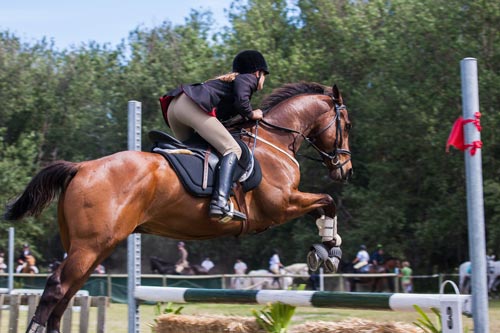 7 Helpful Tips for Horse Riders Healthy Lifestyle: All You Need to Know