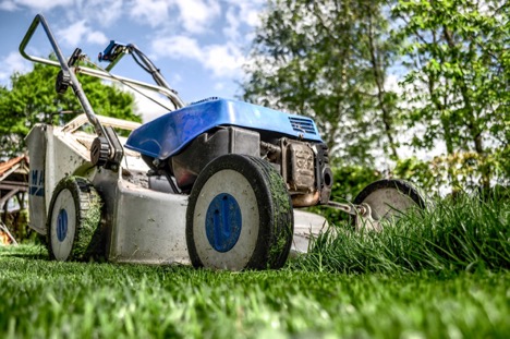 6 Tips for Keeping Your Large Backyard in Top Shape